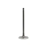Dnj IV955 Intake Valve Fits 2009-2018 Toyota RAV4 09-19 Highlander New. Price: $31.99.