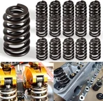 0.625" Lift Max Drop-in Beehive Valve Springs For Gm Ls Lq 4.8 5.3 5.7 6.0 6.2L New. Price: $47.05.