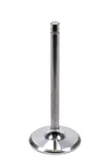 Del West IV2080-1T-CRST-1 11/32 Intake Valve 2.080 New. Price: $203.71.