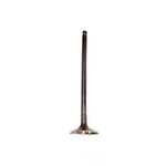 Engine Exhaust Valve-sohc, Code: EJ253, Natural, 16 Valves Dnj EV710 New. Price: $17.90.