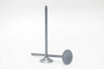 Safety Auto Parts Exhaust Valve Item # VX12-129 New. Price: $28.15.