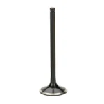 Supertech HEVN-1004-0-8 Black Nitrided Exhaust Valve Set For Honda B18A/B20 New. Price: $185.99.