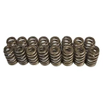 Ford F-150 10-14 Livernois Motorsports Powerstorm Upgraded Valve Spring Set New. Price: $499.99.