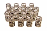 Crower Cams 68135 16 Valve Spring Set New. Price: $235.97.