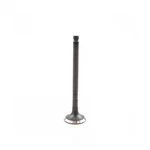 Engine Exhaust Valve-vin: 6, Dohc, 16 Valves Dnj EV920 New. Price: $17.93.