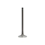 Dnj IV500 Intake Valve Fits 1989-1997 Suzuki Swift 85-88 Chevrolet Sprint New. Price: $30.99.