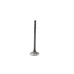 Dnj IV844 Intake Valve Fits 2014-2018 Bmw X5 15-17 X3 New. Price: $40.99.