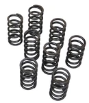 Empi Single Hi Rev Valve Springs For Vw Beetle Engine - Set Of 8 4040 New. Price: $50.77.