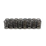 Bc For Mitsubishi 4B11T Evo X / Hyundai G4KF Genesis Single Valve Spring New. Price: $98.38.