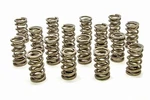 Racing PAC-1208X-16 1.324 Dual Valve Springs Rpm Series (16) New. Price: $397.96.