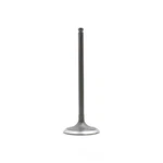 Engine Intake Valve-dohc, Code: J24B, 16 Valves Dnj IV534 New. Price: $19.02.