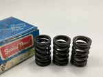 (3) Sealed Power VS-710 Exhaust Valve Spring For 1975-1981 Buick 350 V8 New. Price: $17.99.