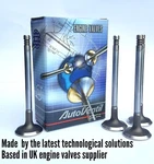 Exhaust Valves Fit To Galaxy VR6 4X4 V280 Aaa, M104.900, Agz, Amy,abv New. Price: $41.64.