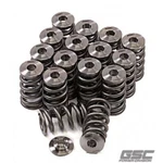 Gsc Power 5046 Beehive Spring Set With Titanium Retainer For Hyundai G4KF Theta New. Price: $409.85.