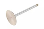 Genuine Gm Intake Valve 12569427 New. Price: $58.67.