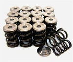 Gsc Dual Spring Set With Ti Retainer Honda Bseries Vtec Platform New. Price: $358.89.