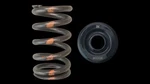Brian Crower BC0600S Valve Springs Steel Retainers For Subaru EJ20 EJ25 Wrx Sti New. Price: $195.00.