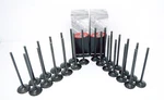 Fits 2011-2014 Volkswagen Routan 3.6L Dohc V6 24V 12 Intake & Exhaust Valves New. Price: $125.00.