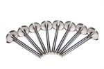 Comp Valves Exhaust Stainless 1.600" Dia .344" Stem 5.025" Length Chevy SETOF8 New. Price: $130.95.