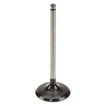 For Toyota Tundra 2000-2009 Aisan W0133-1777761-AIS Intake Valve New. Price: $10.03.