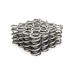 Manley 1.500 Nextek Dual Valve Springs- 221457-16 New. Price: $851.75.