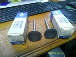 Ford C3AZ6507A Intake Valves, Lot Of Two New. Price: $25.00.