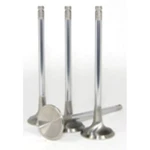 Gsc Power 2021-8 Std Size Exhaust Valve For Evo 4B11T New. Price: $156.36.