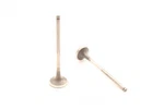 Safety Auto Parts Exhaust Valve Item #VX21-126 New. Price: $26.55.