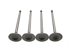 Dokuro 021-0617, 44-03496 Intake Valves Qty Nos New. Price: $29.99.