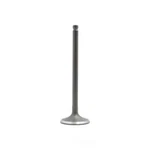 Engine Intake Valve-dohc, 16 Valves Dnj IV107 New. Price: $14.12.