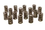 Racing PAC-1216L-16 1.260 Valve Springs W/ Damper New. Price: $265.24.