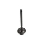 Dnj EV139 Exhaust Valve Fits 2003-2006 Hyundai Santa Fe 03-06 Kia Sorento New. Price: $32.99.