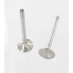 Elgin Intake Valve Set HPV-46Q8; .3415 X 4.910 2.020 Stainless For Sbc, 8PCS New. Price: $72.25.