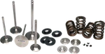 Ferrea KT4059 Replacement Valve Spring Kits New. Price: $1349.19.