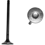 EV433 Dnj Exhaust Valve For Mazda Protege 1995-1998 New. Price: $24.13.