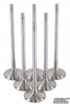 Gsc Fits P-d Toyota G16E-GTS 32MM Head (std) Chrome Polished Exhaust Valve Set New. Price: $195.99.
