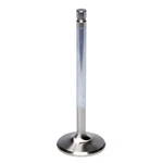 Ferrea Bbf C/6 1.760 Exhaust Valve- F6258-1 New. Price: $54.05.