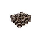 Comp Cams 914-16 Dual Valve Springs New. Price: $171.95.
