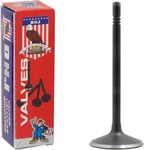 91-04 Intake Valve Ford Lincoln Cougar 4.6L-6.8L V8 Sohc 16V Dnj IV4147 New. Price: $15.47.