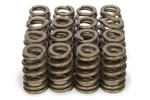 Racing Springs 1.250 Valve For Viper V10 PAC-1283-16 New. Price: $241.38.
