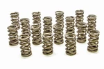 Racing PAC-1208X Circle Track Valve Springs New. Price: $391.42.
