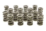 Racing Springs 1.645 Triple Valve (16)- PAC-1350-16 New. Price: $609.66.