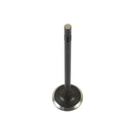 Dnj EV1176 Exhaust Valve Fits 2014-2018 Ram Promaster 3500 New. Price: $34.99.