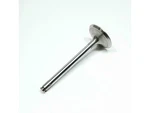 Intake Valve For 1984-1985 Mercedes 500SEL KJ286FF New. Price: $31.17.