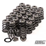 Gsc Power 5053 Turbo VQ35DE/HR Beehive Spring Set With Ti Retainer New. Price: $604.56.
