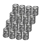 Supertech SPR-TC25S-16 Single Valve Springs For Toyota 4AGE 16V Corolla AE86 New. Price: $191.95.