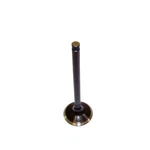 Dnj EV3152 Exhaust Valve Fits 1994-1999 Cadillac Deville 93-99 Eldorado New. Price: $32.99.