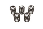 5 Pack Genuine Robin 20A-33601-03 Valve Spring Fits EX17 EX21 EX27 279-33601-03 New. Price: $18.85.