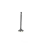 Engine Exhaust Valve-vin: 3, Dohc, Code: Lfx, 24 Valves Dnj EV3139B New. Price: $19.19.