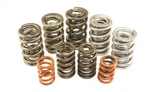 Isky Racing Cams 9365SP Series High Endurance Dual Valve Spring New. Price: $387.45.